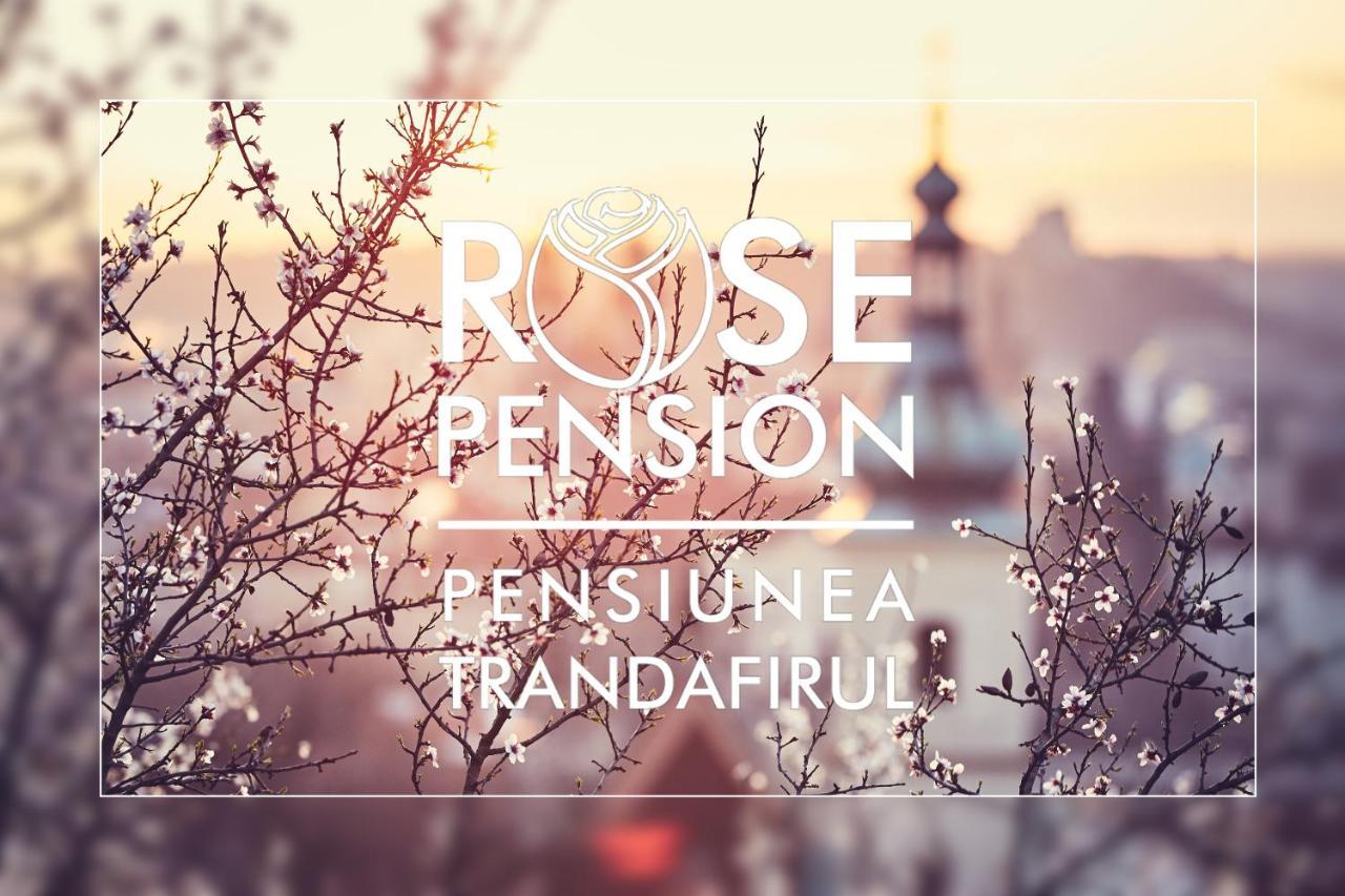 Pension Rose-Trandafirul Borsec Exteriör bild